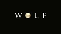 Wolf 1994 1080p BluRay Remux DTS-HD 5.1