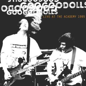 The Goo Goo Dolls - Live at The Academy, New York City, 1995 (2023) Mp3 320kbps [PMEDIA] ⭐️