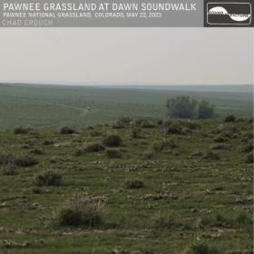 Chad Crouch - Pawnee Grassland at Dawn Soundwalk (2023) [24Bit-88 2kHz] FLAC [PMEDIA] ⭐️