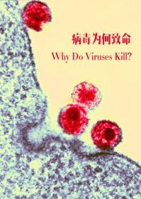 【高清剧集网发布 】病毒为何致命[第01集][中文字幕] Why Do Viruses Kill 2010 S01 Complete 1080p WEB-DL AVC AAC-DDHDTV