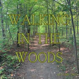 Various Artists - Walking in the Woods Autumn 2023 (2023) Mp3 320kbps [PMEDIA] ⭐️