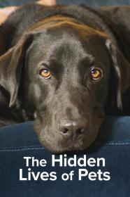 【高清剧集网发布 】宠物的秘密生活[全4集][简繁英字幕] The Hidden Lives of Pets S01 1080p NF WEB-DL DDP 5.1 H.264-BlackTV