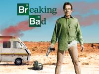 Breaking Bad (S03)(2010)(1080p)(VP9)(WebDL)( EN 5 1+SPA 2 0)(Complete) PHDTeam