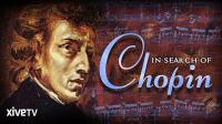 In Search of Chopin 2014 1080p WEBRip x265-RBG