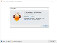 DLNow Video Downloader v1.51.2023.10.22 Multilingual Portable