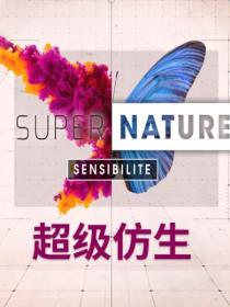 【高清剧集网发布 】超级仿生[全5集][中文字幕] Supernature S01 2019 1080p WEB-DL H264 50FPS AAC-DDHDTV