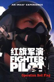 【高清影视之家发布 】红旗军演[中文字幕] Fighter Pilot Operation Red Flag 2004 BluRay 1080p AAC x264-DreamHD