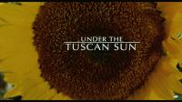 Under the Tuscan Sun 2003 1080p BluRay Remux DTS-HD 5.1