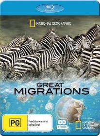 【高清剧集网发布 】大迁徙[全6集][简繁英字幕] Great Migrations 2Disc Edition 2010 REPACK Bluray 1080p DTS-HDMA 5.1 x265 10bit-BlackTV