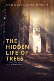 The Hidden Life Of Trees (2020) [720p] [BluRay] [YTS]