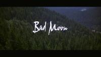 Bad Moon 1996 1080p BluRay Remux DTS-HD 5.1