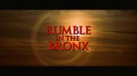 Rumble in the Bronx 1995 1080p BluRay Remux DTS-HD 5.1