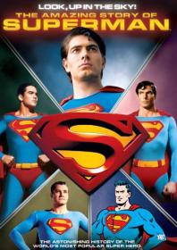 Look Up In The Sky The Amazing Story Of Superman 2006 1080p BluRay x265-RBG
