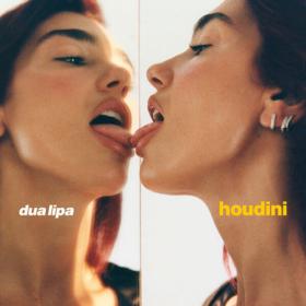 Dua Lipa - Houdini (2023) [24Bit-44.1kHz] FLAC [PMEDIA] ⭐️