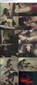 The Seduction of Lacey Bodin 1975 DVDRip-worldmkv