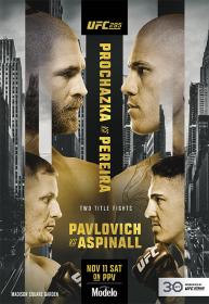 UFC 295 Main Card 720p WEB-DL H264