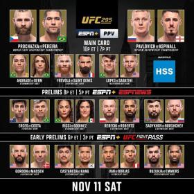 UFC 295 540p HDTV H264 Fight-BB[TGx]