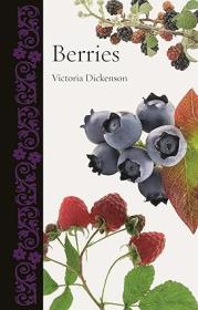Berries (Botanical)