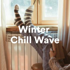 Various Artists - Winter Chill Wave (2023) (2023) Mp3 320kbps [PMEDIA] ⭐️