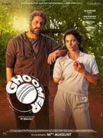 Ghoomer (2023) Hindi TRUE WEB-DL - 1080p - HEVC - (DD 5.1 ATMOS - 448Kbps & AAC) - 2.2GB