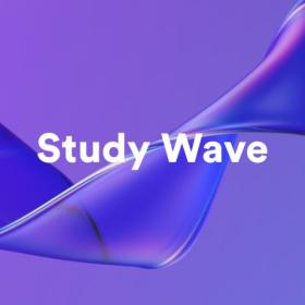 Various Artists - Study Wave (2023) Mp3 320kbps [PMEDIA] ⭐️