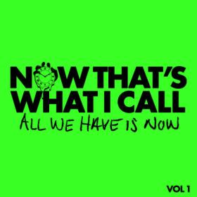 Various Artists - Now That's What I Call All We Have Is Now Vol  1 (2023) [16Bit-44.1kHz] FLAC [PMEDIA] ⭐️