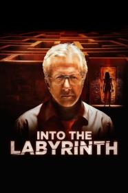 Into the Labyrinth 2019 1080p AMZN WEB-DL DDP 5.1 H.264-PiRaTeS[TGx]