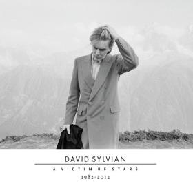 David Sylvian - A Victim Of Stars 1982-2012 [2CD] (2012 Alternativa e indie) [Flac 16-44]