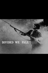 Divided We Fall (1982) [1080p] [BluRay] [YTS]