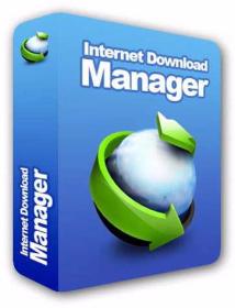 Internet Download Manager 6.42 Build 2 + Patch (Lifetime Activation)