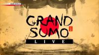 NHK Grand Sumo Live November 2023 720p HDTV x265 AAC MVGroup Forum