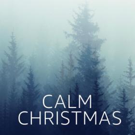 Various Artists - Calm Christmas Music Chill Holiday (2023) Mp3 320kbps [PMEDIA] ⭐️
