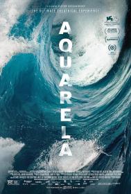 【高清影视之家发布 】水墨[简繁英字幕] Aquarela 2018 1080p BluRay x265 10bit DTS-SONYHD