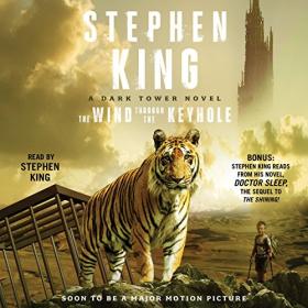 Stephen King - 2012 - The Wind Through The Keyhole [DT #8] (Fantasy)