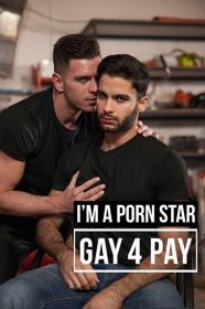 Im A Pornstar Gay4Pay (2016) [1080p] [WEBRip] [YTS]