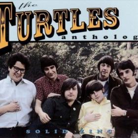 The Turtles - Solid Zinc (The Turtles Anthology) (2CD) (2002)⭐FLAC