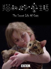 【高清剧集网发布 】猫的秘密生活[第01集][中文字幕] Secret Life of Cats 2019 S01 Complete 1080p WEB-DL AVC AAC-Xunlei