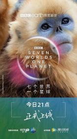 【高清剧集网发布 】七个世界，一个星球[全7集][中文字幕] Seven Worlds, One Planet 2019 WEB-DL 1080p H265 AAC-DDHDTV