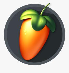 FL Studio Producer Edition 21.2.2.3914 + Crack