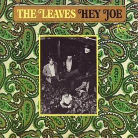 The Leaves - Hey Joe (Expanded) (2023) [16Bit-44.1kHz] FLAC [PMEDIA] ⭐️
