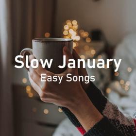 Various Artists - Slow January Easy Songs For Laidback Listening (2023) Mp3 320kbps [PMEDIA] ⭐️