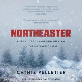 Northeaster - A Story of Courage and Survival