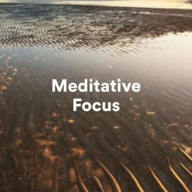 Various Artists - Meditative Focus (2023) Mp3 320kbps [PMEDIA] ⭐️