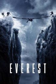 Everest 2015 720p PCOK WEBRip 800MB x264-GalaxyRG[TGx]