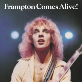 Peter Frampton - Frampton Comes Alive! (1976 Rock) [Flac 24-96]