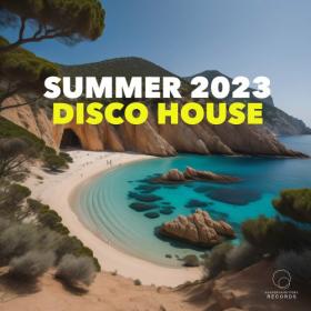 VA - Pina Colada Records Summer Party 2023 (2023)