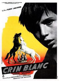 【高清影视之家发布 】白鬃野马[简繁英字幕] White Mane The Wild Horse 1953 CC 1080p BluRay x264 FLAC 1 0 2Audio-SONYHD