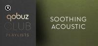 V A  - Qobuz Club Soothing Acoustic (2023 Pop Rock Classica Blues Country Folk) [Flac 16-44]