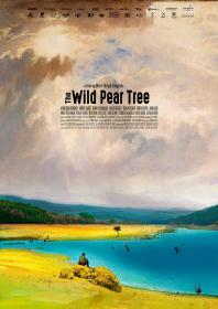 【高清影视之家发布 】野梨树[简繁英字幕] The Wild Pear Tree 2018 BluRay 1080p DTS x264-DreamHD