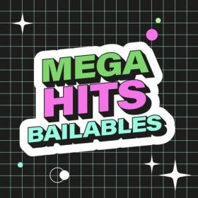 Various Artists - Mega Hits Bailables (2023) Mp3 320kbps [PMEDIA] ⭐️